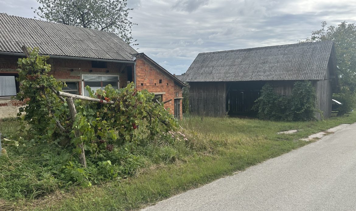 Galerija